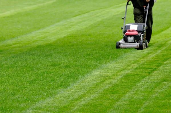 Professional Lawn Care Services Near Buford