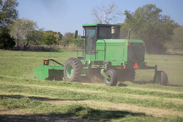 Professional Mowing Solutions for Residential Lawns in Little Elm