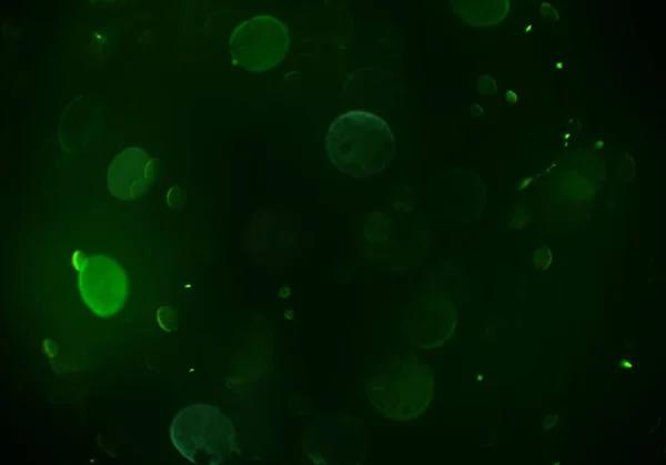 Powerful Transfection Reagents Designed for High Gene Expression