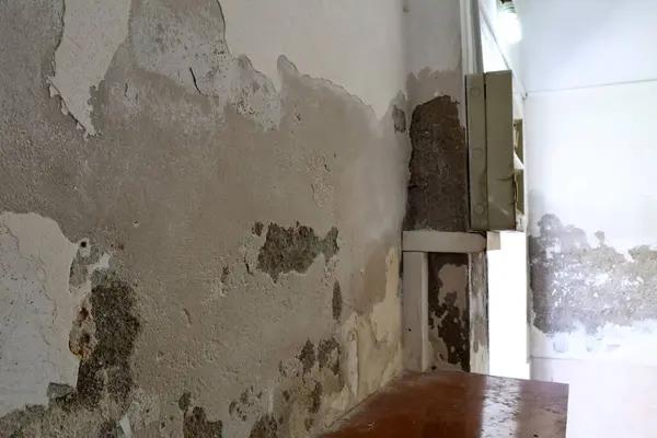 Professional Water Damage Restoration in Mesa